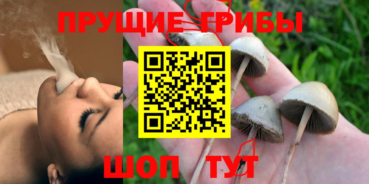 Славянск-на-Кубани  Галлюциногенные грибы Cubensis  Вход с VPN 